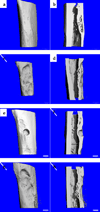 Fig. 6