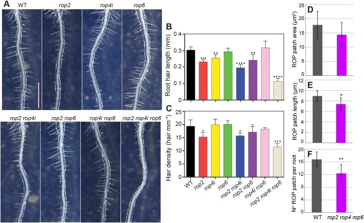 Fig. 3.