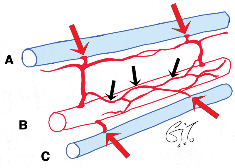 Fig. 11.