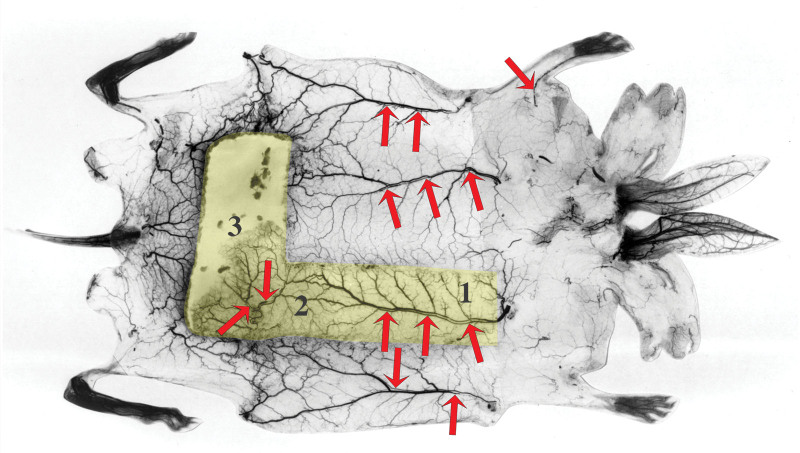 Fig. 4.