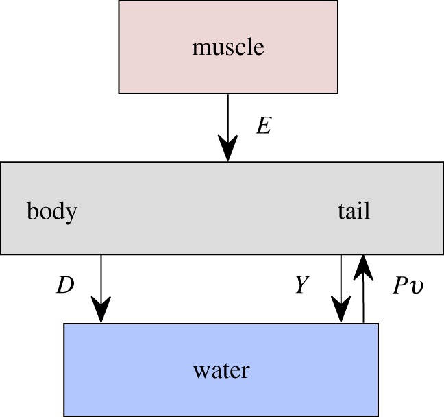 Figure 11.