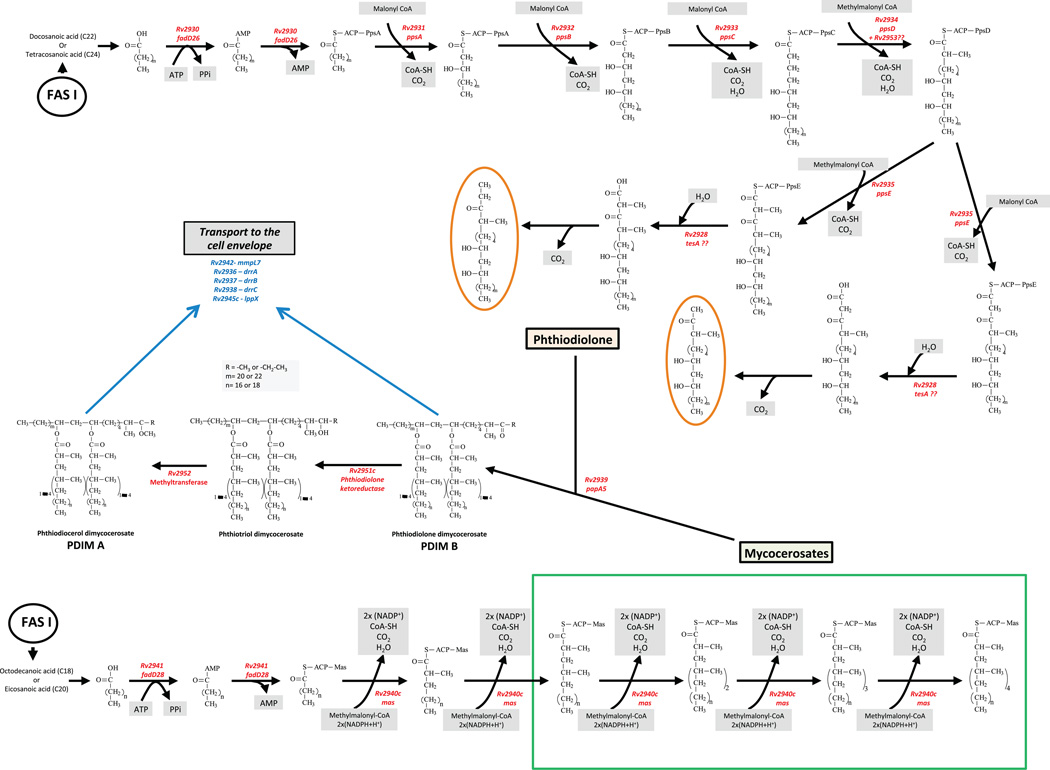 Figure 15