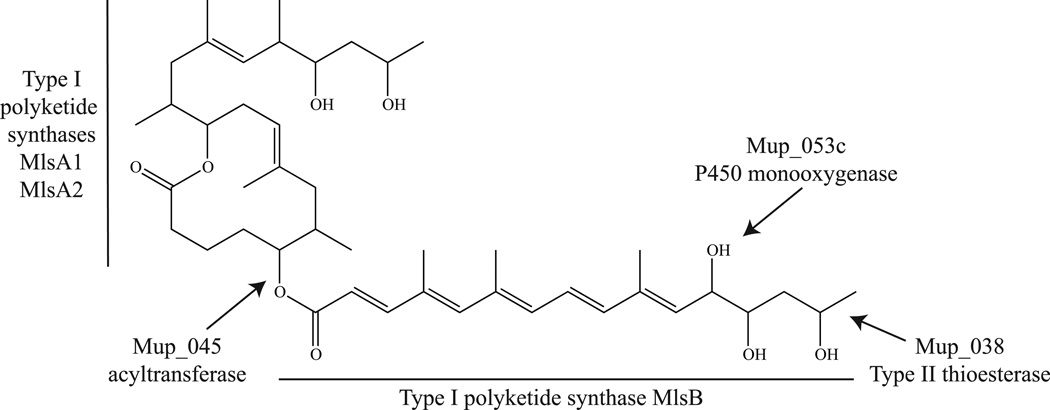 Figure 19