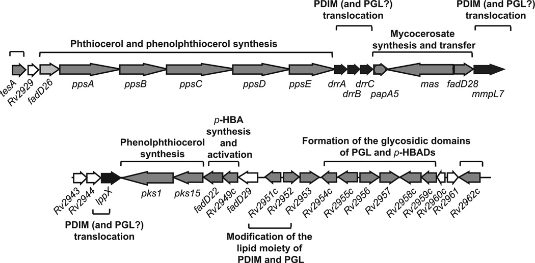 Figure 14