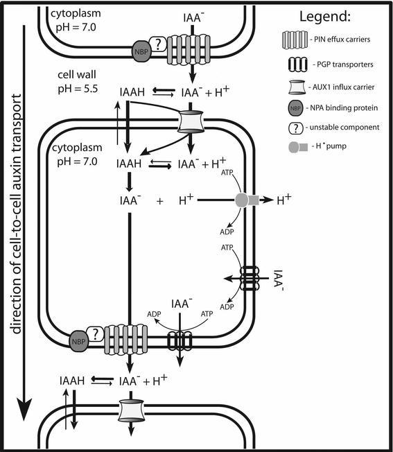 Figure 3.