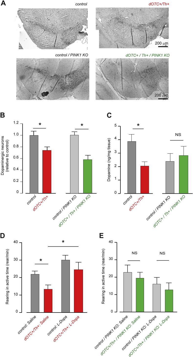 Fig. 4