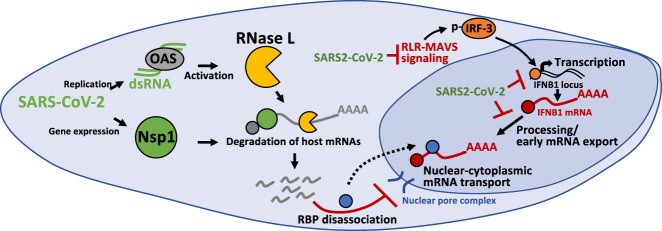 FIGURE 7.