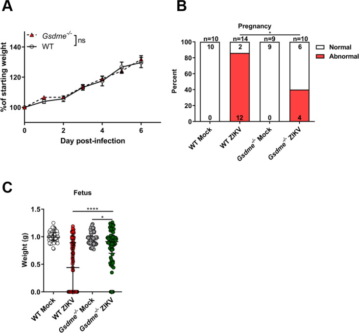 Figure 5—figure supplement 2.