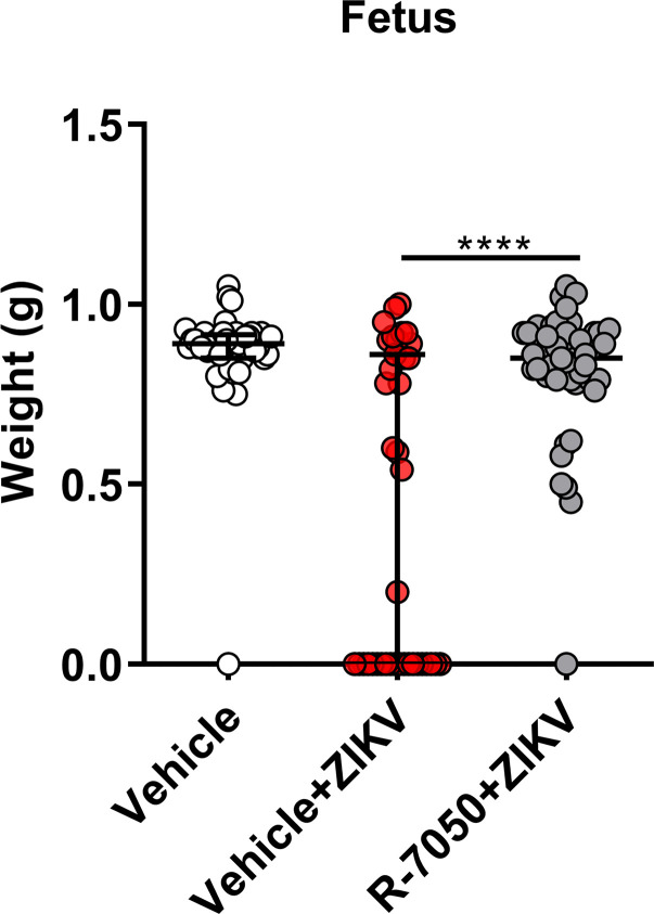 Figure 6—figure supplement 1.