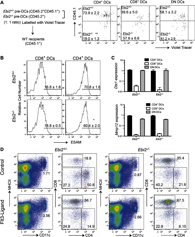 Figure 4—figure supplement 1.