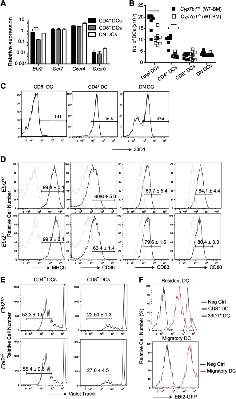 Figure 1—figure supplement 1.