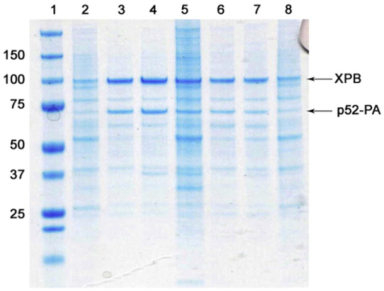 Fig. 2