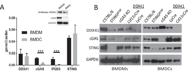 FIG 5 