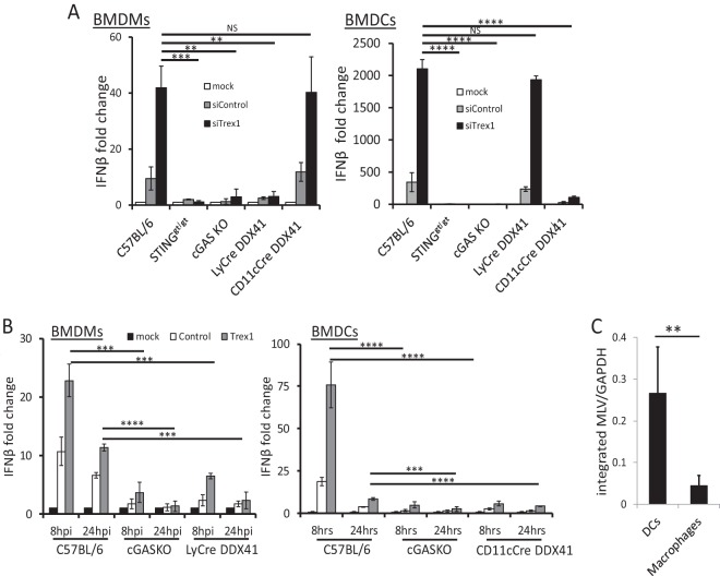 FIG 6 