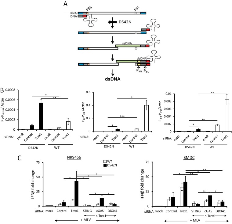 FIG 4 