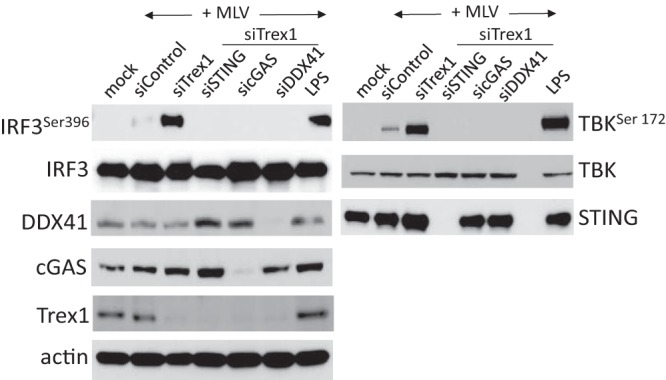 FIG 2 