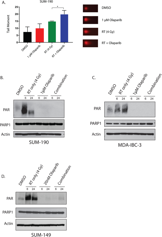 Figure 4: