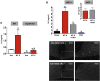 Figure 5