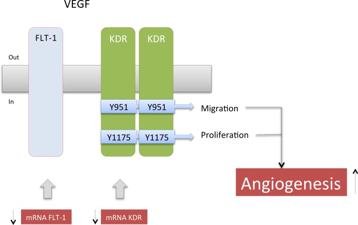 Fig 8