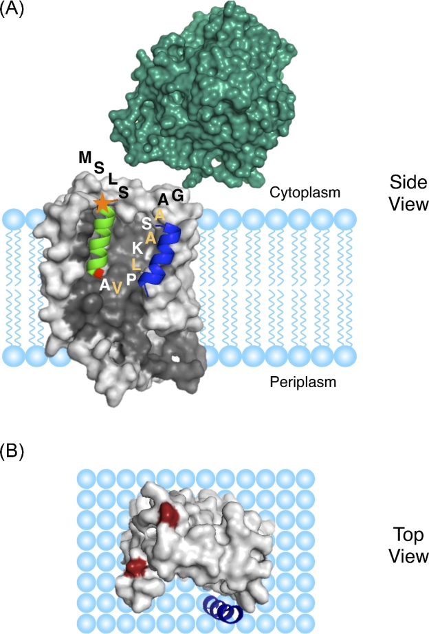 Figure 1.