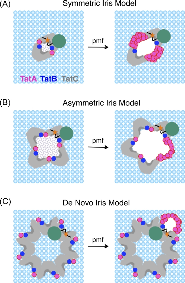 Figure 3.