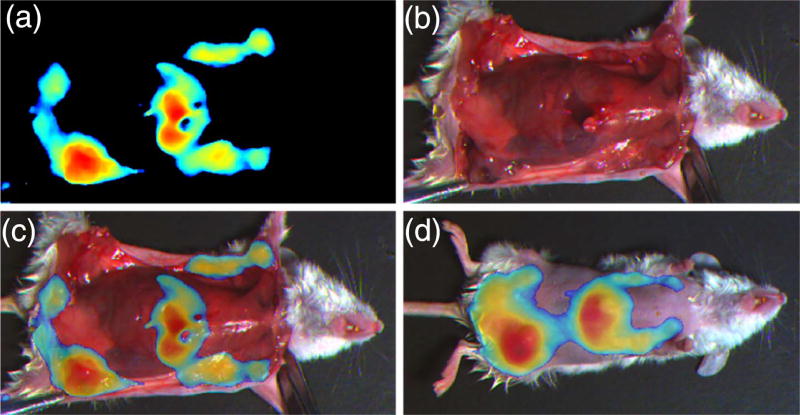 Fig. 6