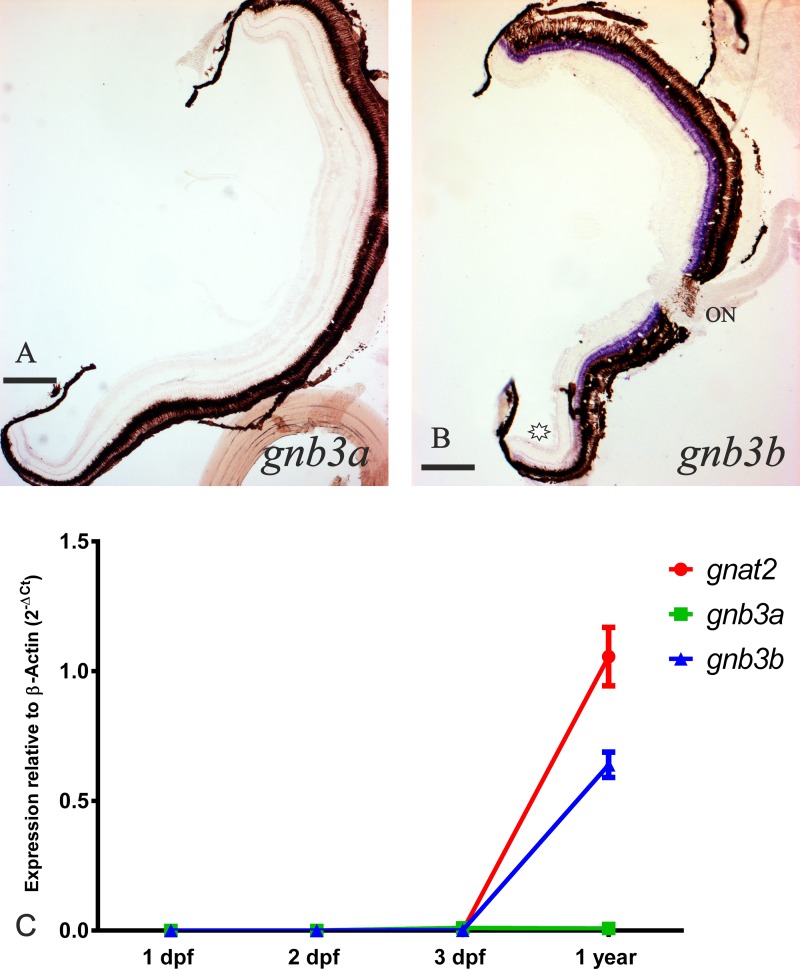 Fig 5