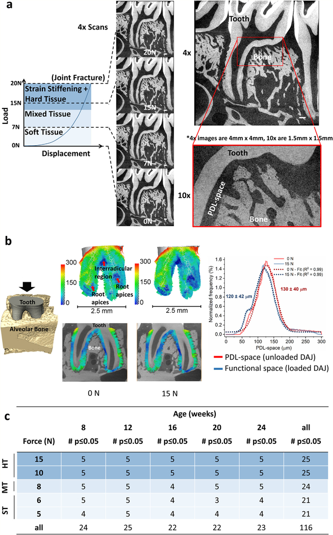 Fig. 1 –