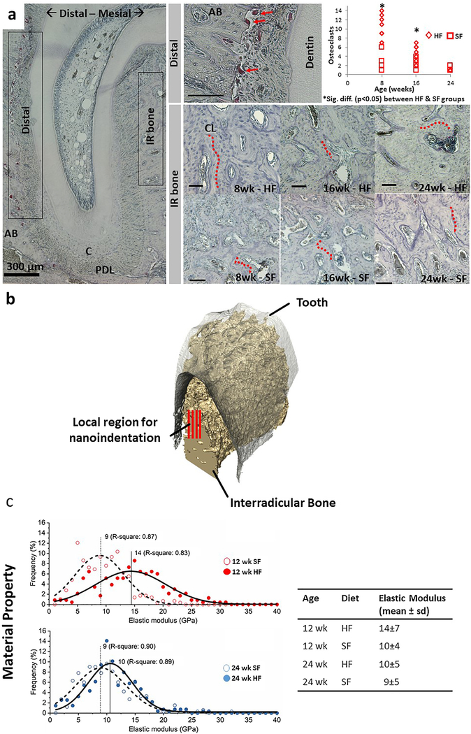 Fig. 2 –