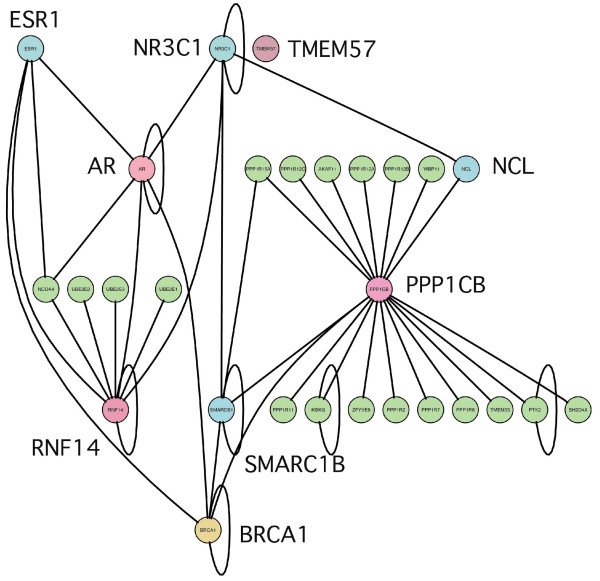 Figure 10