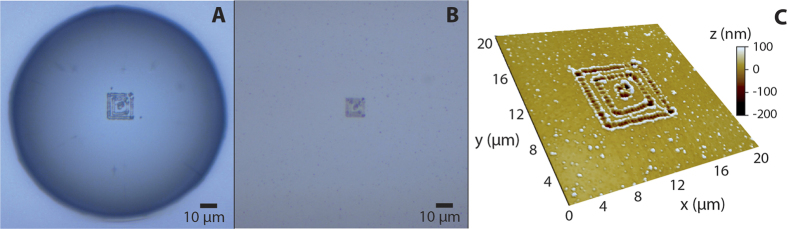 Figure 6