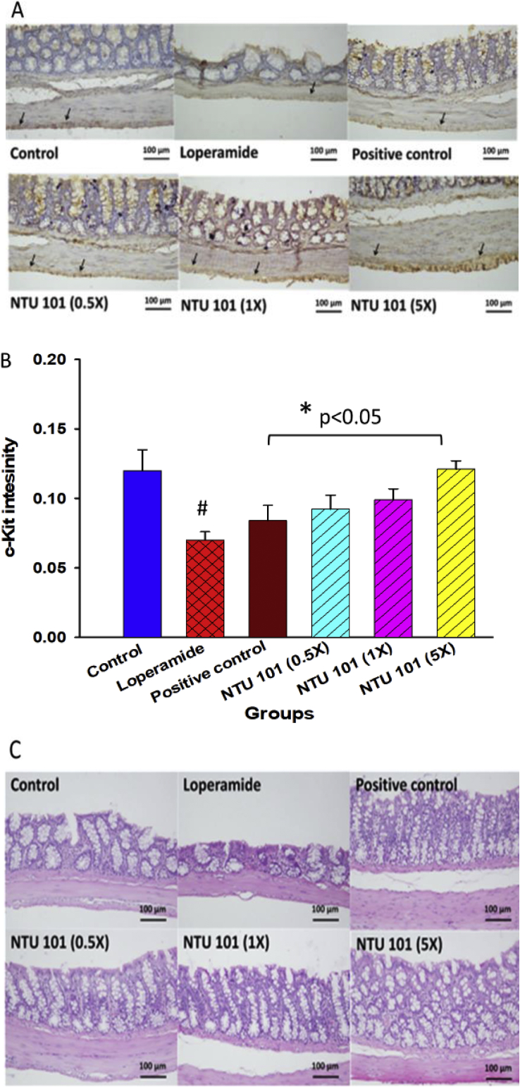 Figure 3