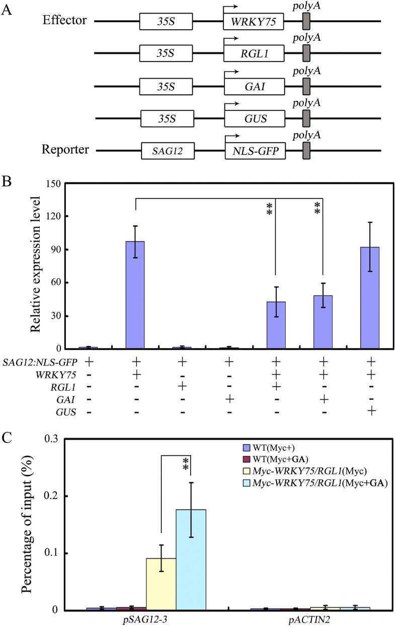 Fig. 4