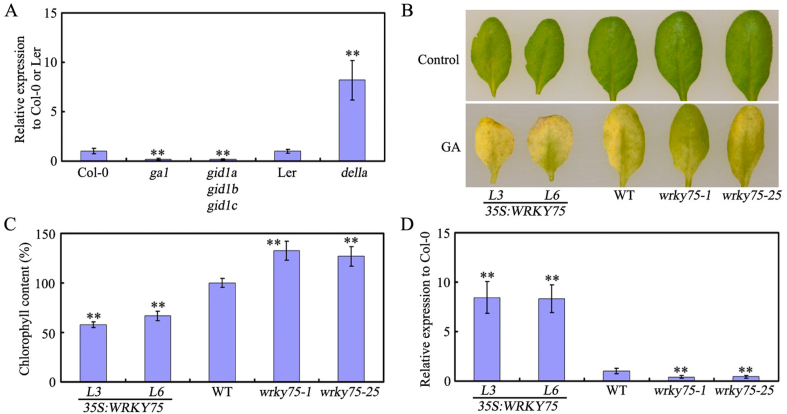 Fig. 6