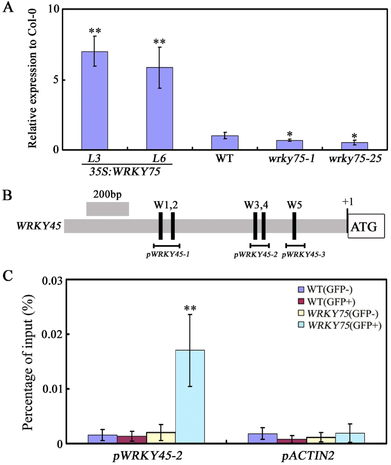 Fig. 7