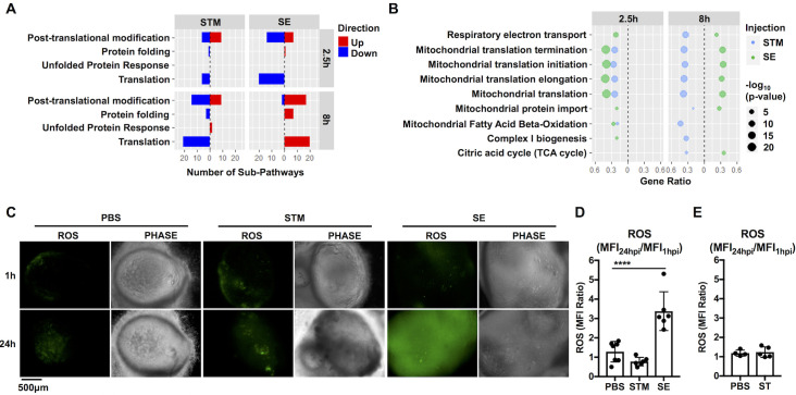 Fig 6