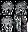 Figure 2