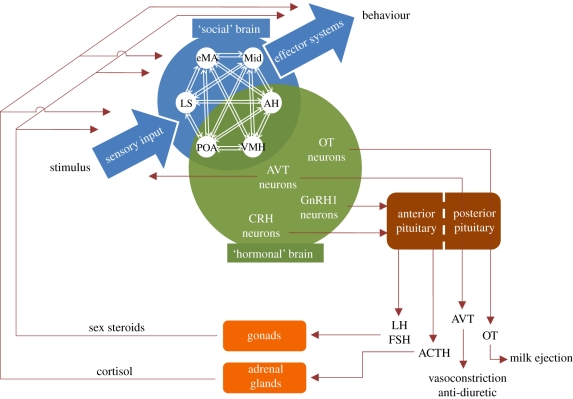 Figure 2.