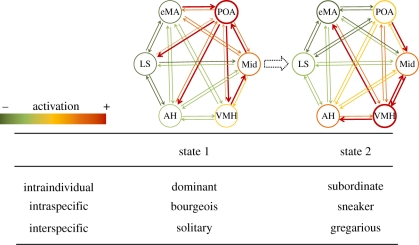 Figure 1.