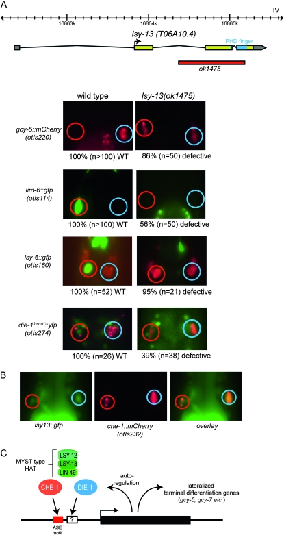 Figure 3.—