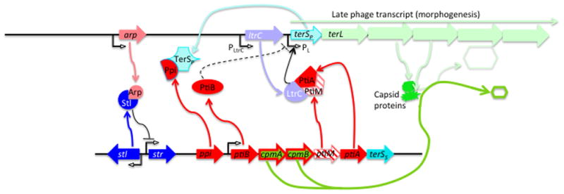 Fig. 3