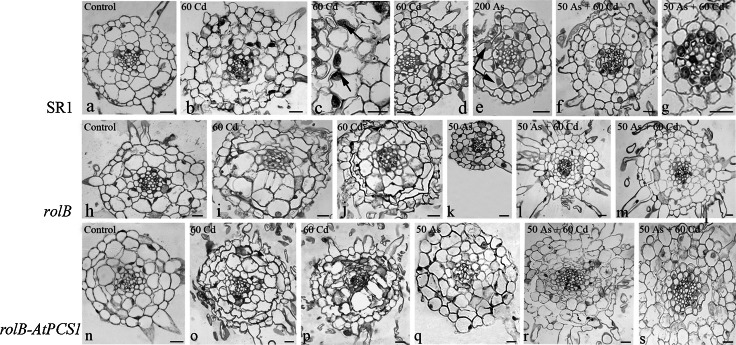 Fig. 7