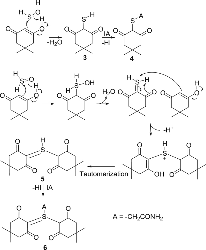 Scheme 3