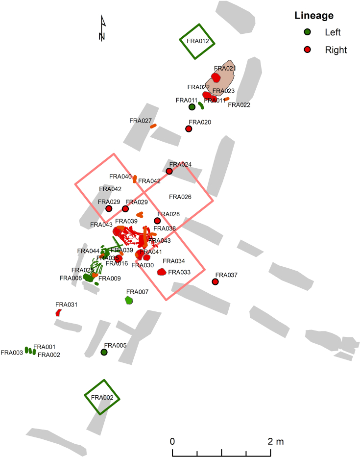 Extended Data Fig. 6