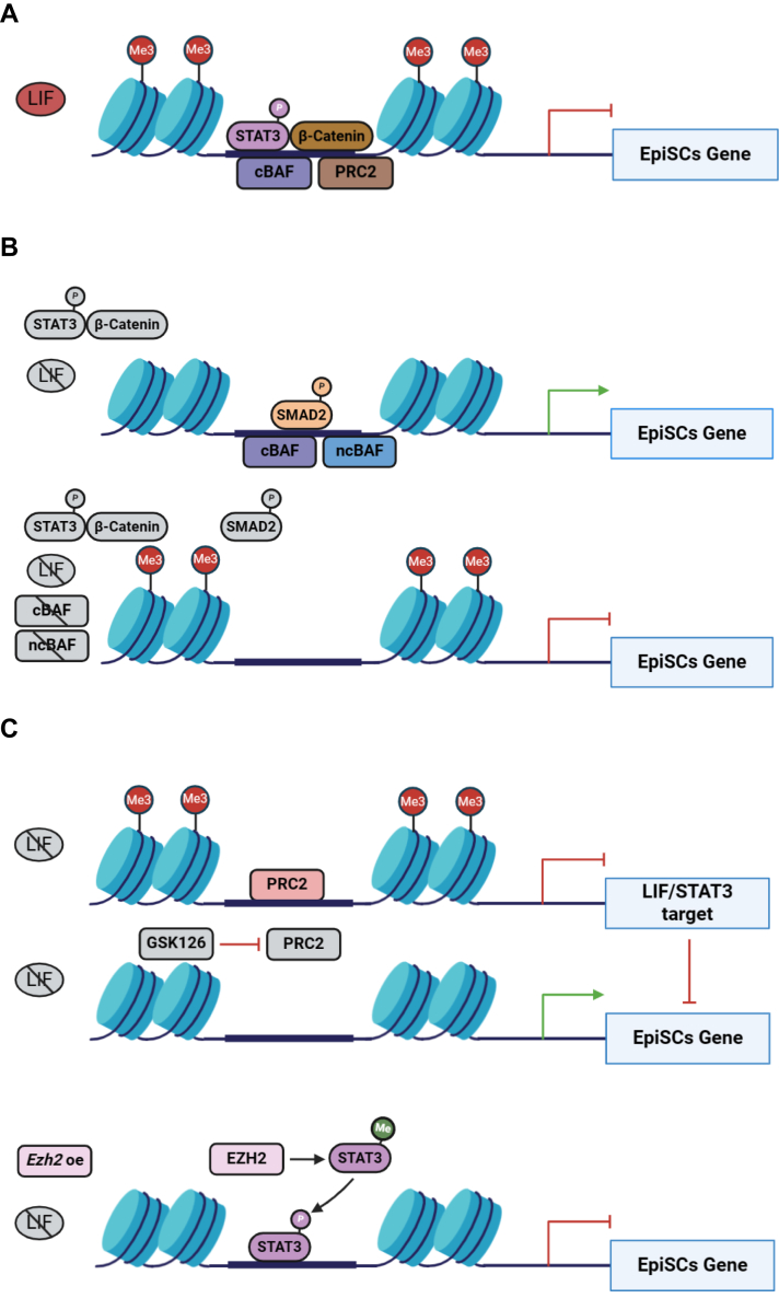 Figure 6