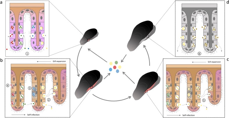 Fig. 3