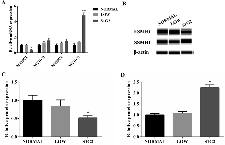 Fig. 4