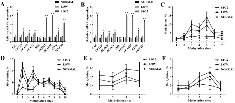 Fig. 3