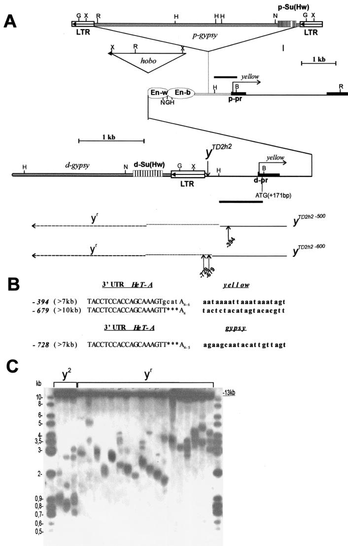 FIG. 5.