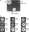 Fig 5